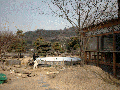 iris pool 30.gif